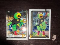 Pittsburgh Parrot.jpeg