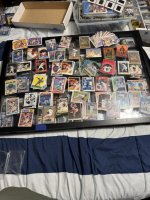 IMG_5102.jpeg