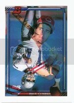 error1992bowman.jpg