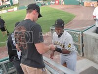 saltlakebees014.jpg