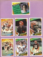 Bengals Lot1.jpg