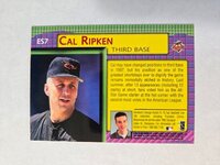 ripken back.jpg