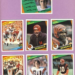 Bengals Lot1.jpg