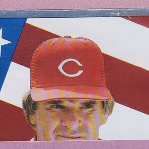 86 Rose Sticker.JPG