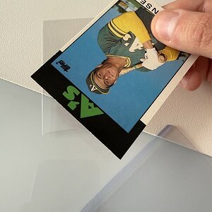 IMG_5390.jpeg