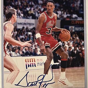 Scottie Pippen Signed 8x10.JPG