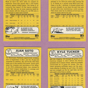 MiLB stars backs.png.png