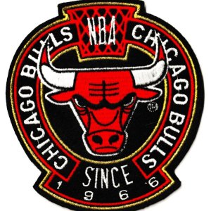 bulls patch.jpg