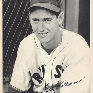 1941 Red Sox Team Issue 24 Ted Williams
