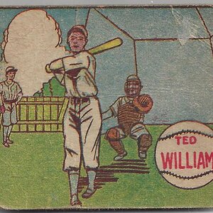 1949 MP and Co. R302-2 101 Ted Williams