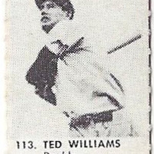 1950 R423 113 Ted Williams