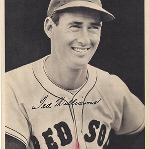 1950 Red Sox Team Issue 28 Ted Williams