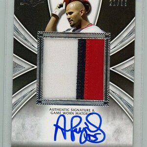 PUJOLS NEW 2012 LEAF AUTO PATCH 21 OF 99.jpg